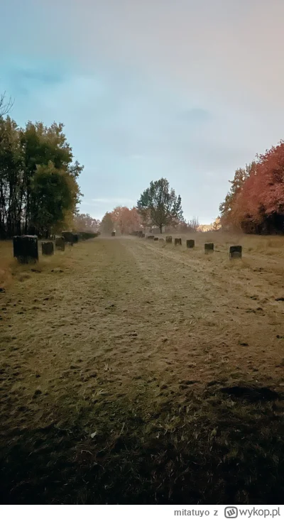 mitatuyo - #radom spędziłem tutaj ponad pół życia, ale dopiero dzisiaj przypadkowo do...