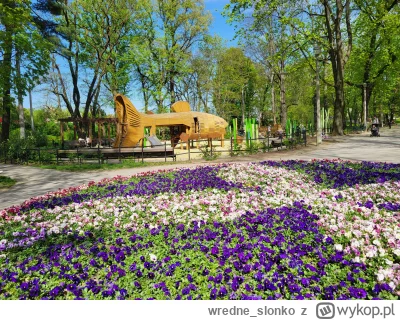 wredne_slonko - #podroze #krakow #spacer #wiosna #weekend
Cudne kwiatowe kompozycje!