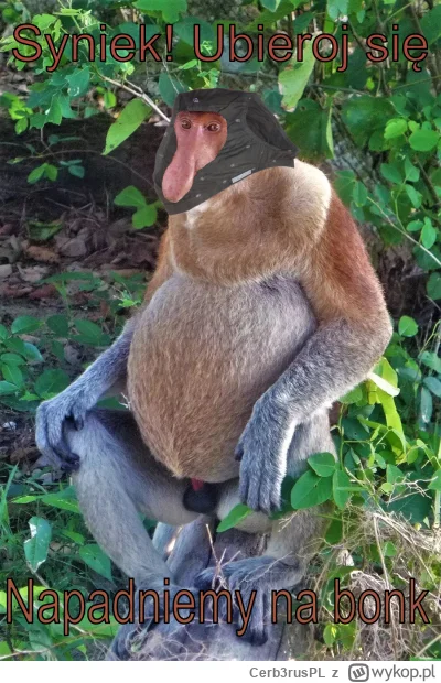 Cerb3rusPL - #konkursnanajbardziejgownianymemznosaczem 

Na bonk spuchy