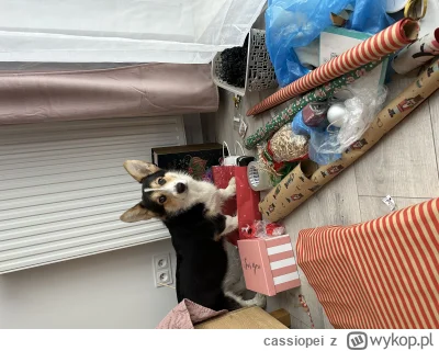 cassiopei - Inspekcja tej fabryki pakowania prezentów. Podobno gdzieś tutaj są smaczk...