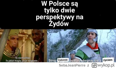 SebaJeanPierre - #izrael #polska #heheszki #humorobrazkowy