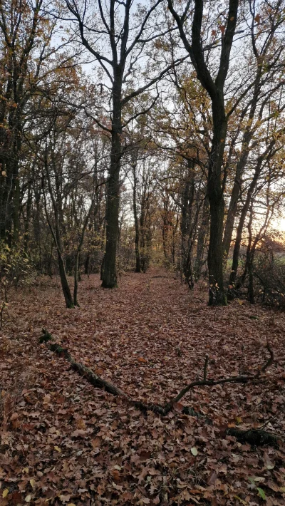 Uuroboros - I z wnętrza