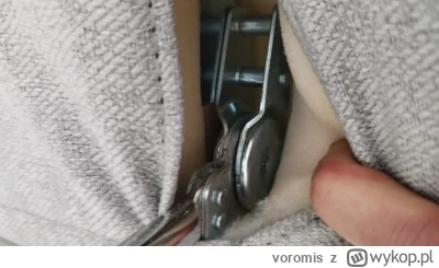 voromis - @MichaS_LwK