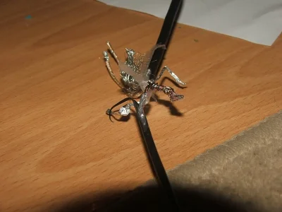 Przemasu - @PiszeCzasen  @Elec 
Tak.
https://forums.d2jsp.org/topic.php?t=13558184&f=...