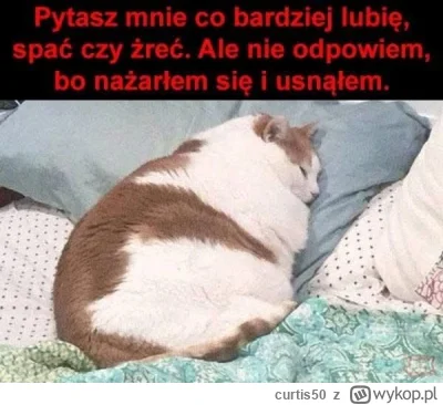 curtis50 - @Pierre_Nietzsche