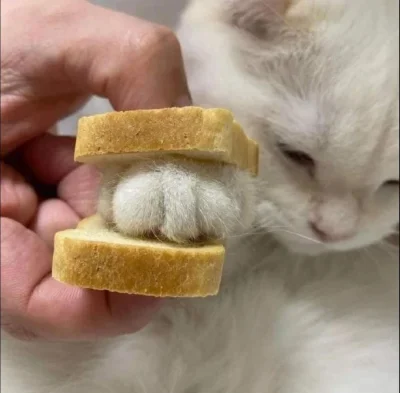 shrKEK - Sniadanie dla cb