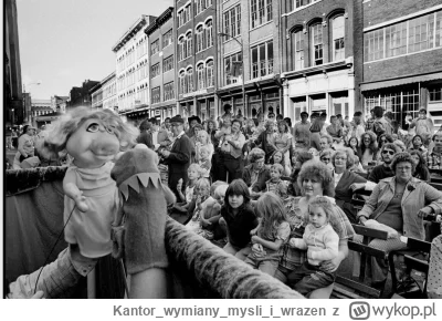 Kantorwymianymysliiwrazen - MuppetShow 1981 rok w USA, a u nas pod koniec roku stan w...