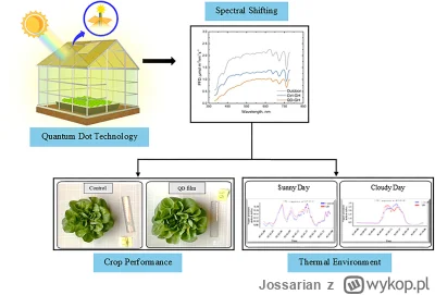 Jossarian - Ilustracja z publikacji: