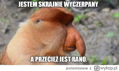 jestemtunew - To ja teraz #heheszki