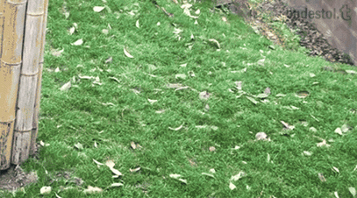 wfyokyga - Dzień dobry