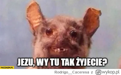 Rodrigo__Caceresa - kraj z kartonu i gówna, żeby tak zakłamywać rzeczywistość publicz...