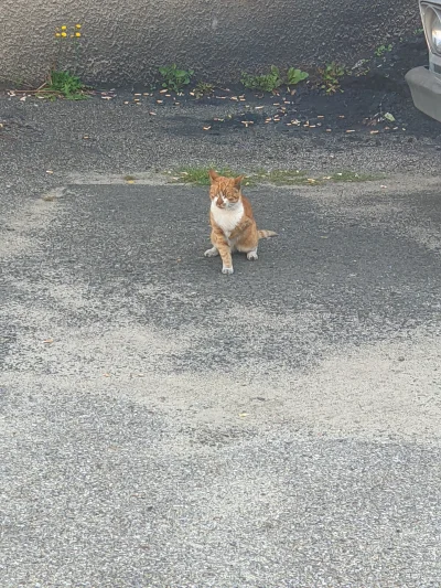 sylwke3100 - Tu inne ujęcie