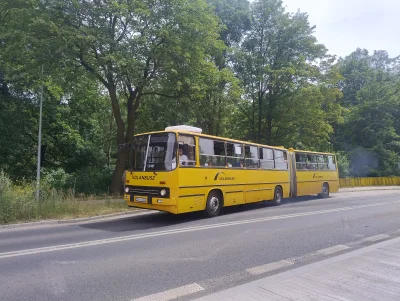sylwke3100 - Ikarus 280.52 na wakacyjnej linii specjalnej "W2" spotkany w Świerklańcu...