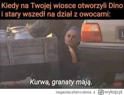 naganiaczherculesa - #ranczo #heheszki #humorobrazkowy