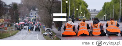 Trias - Jak to jest, że ekoaktywiści blokujący drogi są dla wykopków terrorystami, al...