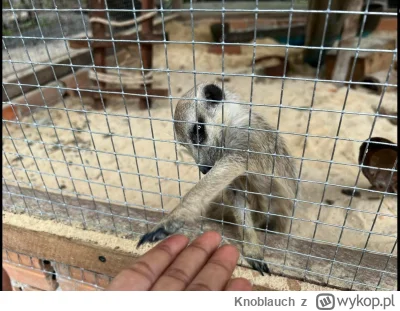 Knoblauch - #raportzpanstwasrodka 
Do zobaczenia.