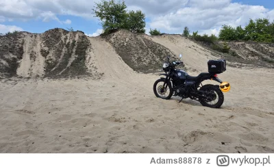 Adams88878 - @Adams88878: