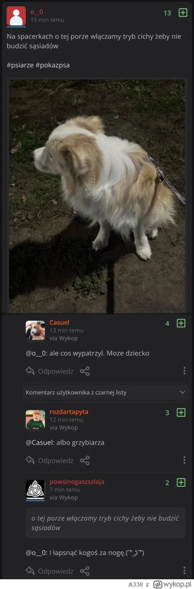 A330 - Psiarze to moralne dno. Przykład? Piękne "heheszki" z pogryzień dzieci przez p...