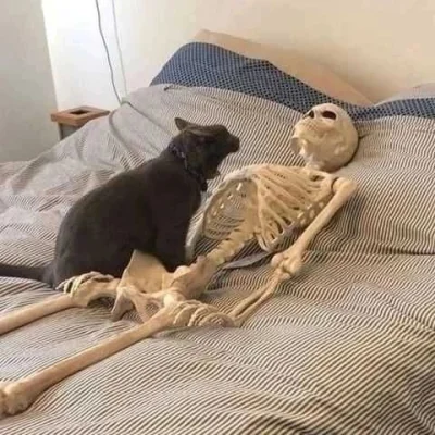 Imitacja_czlowieka - Ciekawe czy gdybym miał kotka to on by mnie motywował do wstawan...