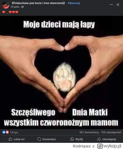 Rodriquez - #patologiazewsi #patologiazmiasta #psiarze #bekazpodludzi #rakcontent
To ...