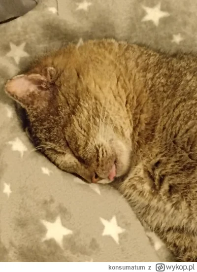 konsumatum - Zbyszkowi często język wypada podczas spania