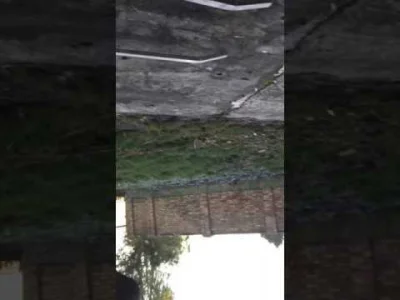 piotre-gie - #wedkarstwo #heheszki