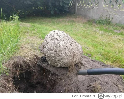 For_Emma - Ale jaja, smocze jajo wykopałem