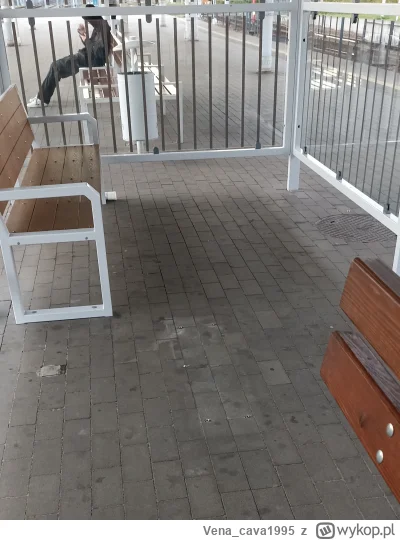 Vena_cava1995 - Na dworcu niedaleko zrobili taką przeszkloną wiatę z aż jedną ławką. ...