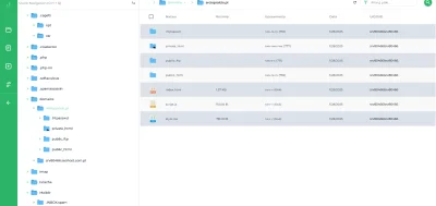 XXXBorisGromow24cmXXX - #informatyka #hosting
Dobra jestem noobem. Gdzie ma mam wrzuc...