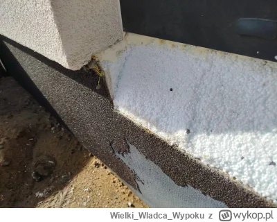 WielkiWladcaWypoku - @WielkiWladcaWypoku: to później było poprawiane odrobinę, potrze...