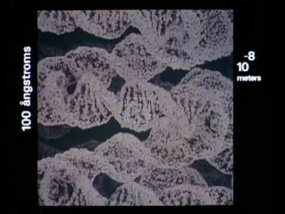 tcp-protocol - @tcp-protocol: a tu oryginał