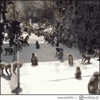 marek2092 - Panowie policzmy
#mecz #heheszki