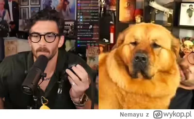 Nemayu - Polecam psiarską aferę Hasana z Twitcha - byłego bożka lewicowców twitchowyc...