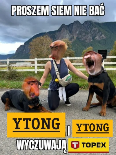 Jookav - #konkursnanajbardziejgownianymemznosaczem