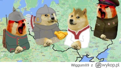 Wiggum89 - Od 84 do 90% Ukraińców ma pozytywne nastawienie do Polski

#polska #ukrain...