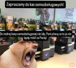vZGLSjkzfn - #konkursnanajbardziejgownianymemznosaczem