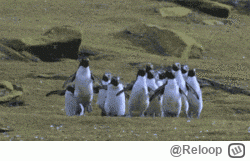 R.....p - @wfyokyga: