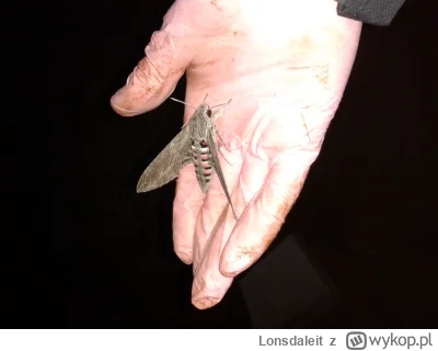 Lonsdaleit - >10cm. Co to za gagatek

@grzesiecki: 10 cm? To nie gagatek. To #!$%@?! ...