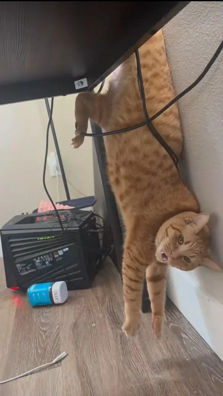 wfyokyga - Ludź pomóż