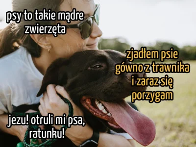 Mochizuki - #heheszki #humorobrazkowy #psy #psiarze #memy #psiegryw