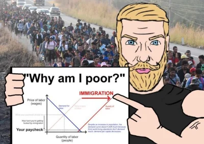 Zopyross - Mowa nienawiści to każde forma nawoływania do sprowadzenia tubylcom imigra...