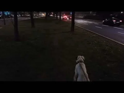 gagarin_kosmonauta - w tym całym zamieszaniu najgorzej ma Tajson. Ewidentnie już by s...