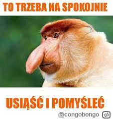 congobongo - @Stabilizator: