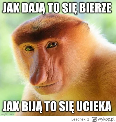 Leschek - #kpo #afera