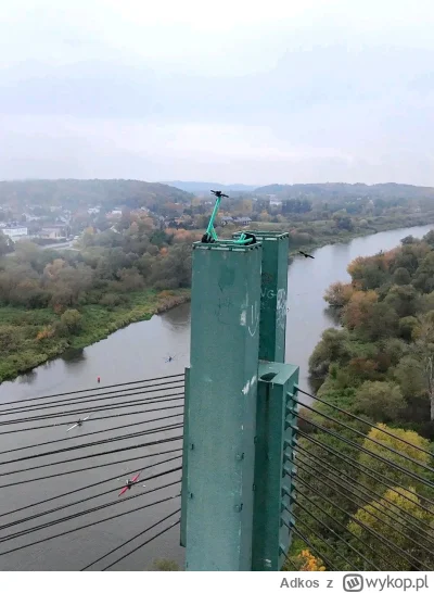 Adkos - Jak? ¯\(ツ)/¯

#krakow #heheszki