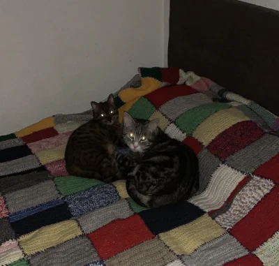 Lujdziarski - Geje boze ze soba ładnie spali wczoraj wieczorem.  Dałem im saszete, ch...