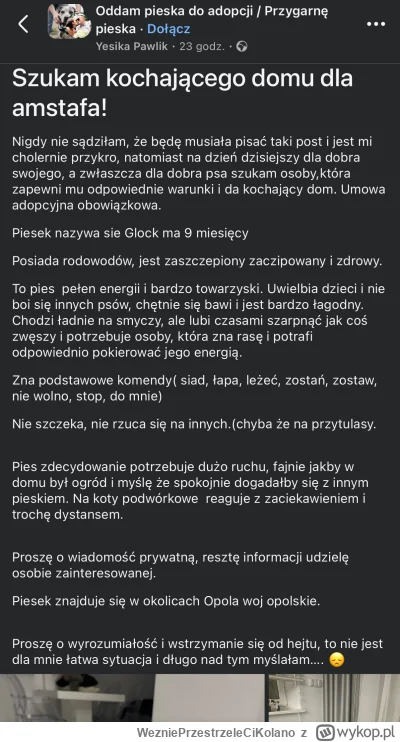 WezniePrzestrzeleCiKolano - #psiarze #psy #patologiazewsi 

Ale combo: Yesika oddaje ...