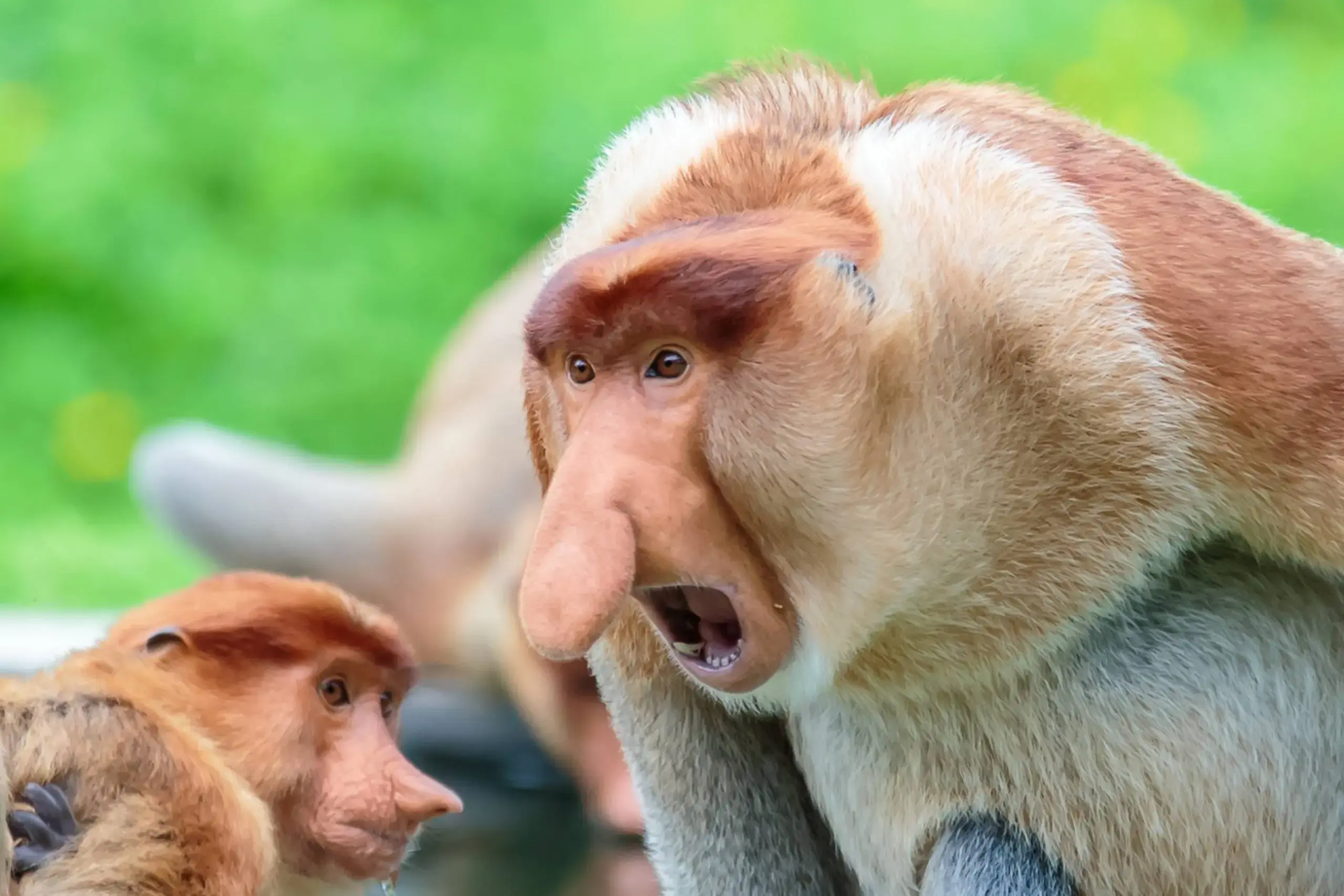 RowerowySwiat - @Manaka: SYNEK JAK NIE UMISZ TO SIĘ ZA TO NIE BIERZ.