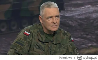 Pokojowa - Polska jest przekonana, że ​​w przypadku rosyjskiej agresji sojusznicy z N...