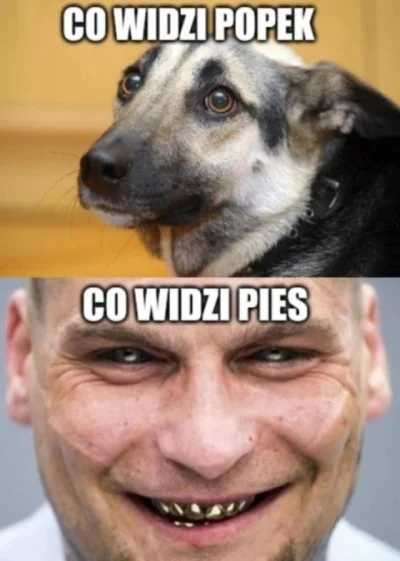 adam-kowalski22 - lepiej wypchac niż wyruchać #famemma